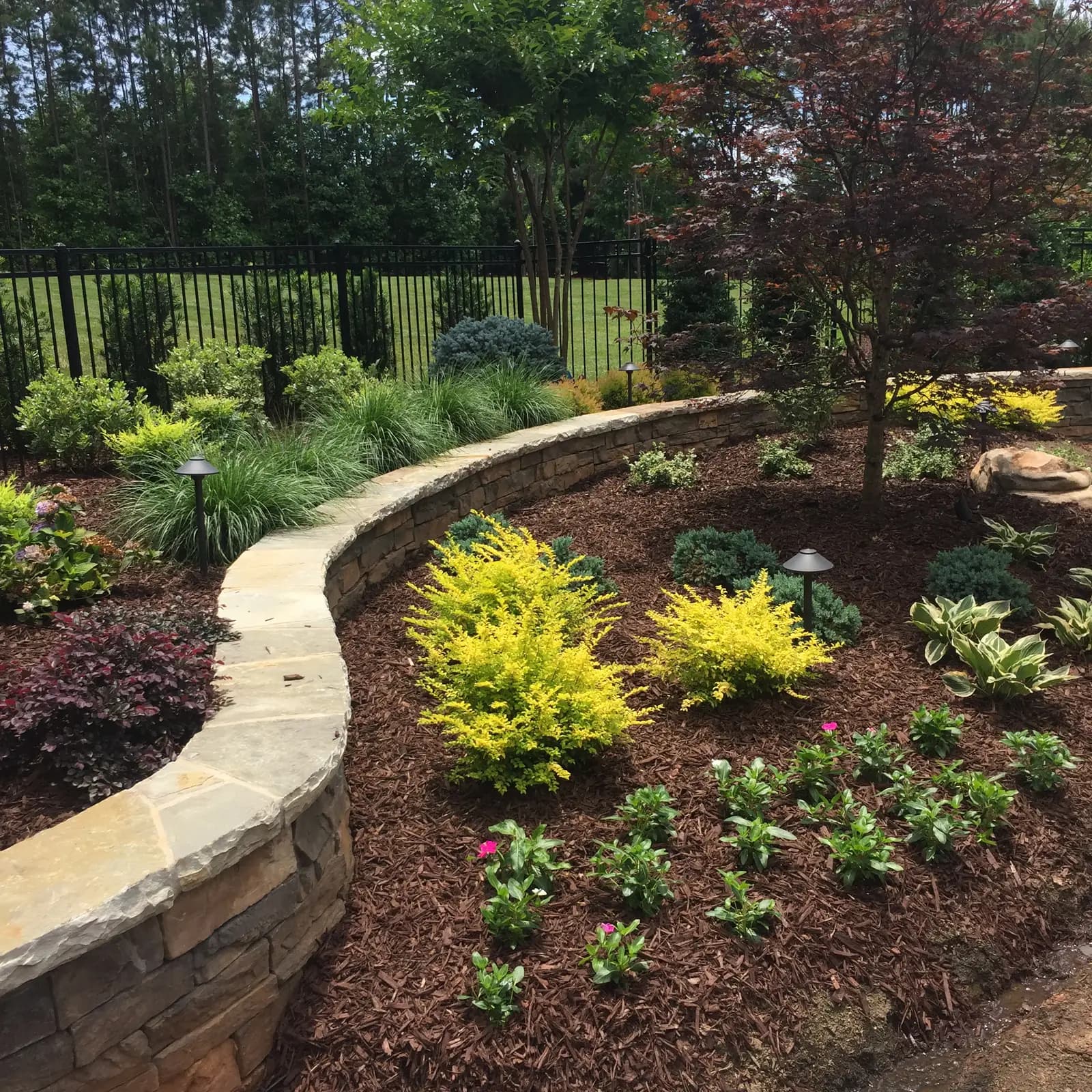 Landscape planting in Davidson, NC built by Aqua Pools & Outdoor Living