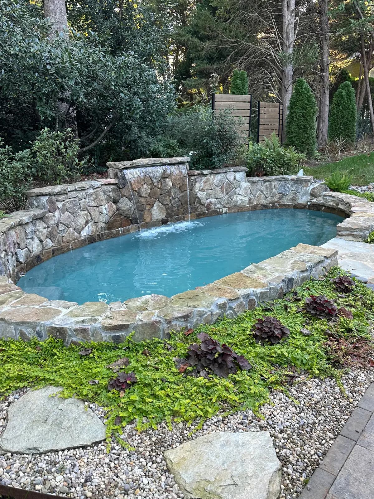 Plunge pool with a spa in Lake Wylie, SC, view 3